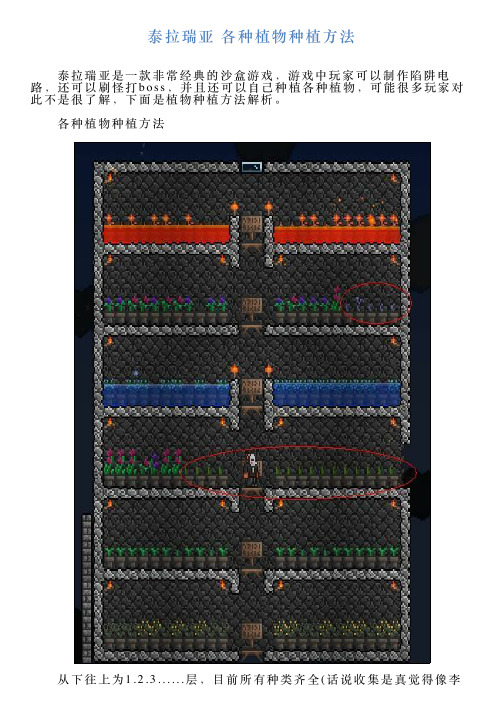 泰拉瑞亚各种植物种植方法