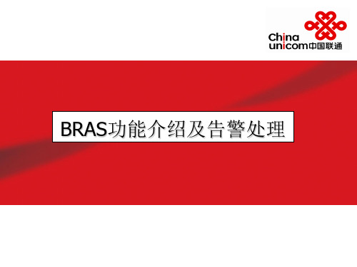 认识BRAS