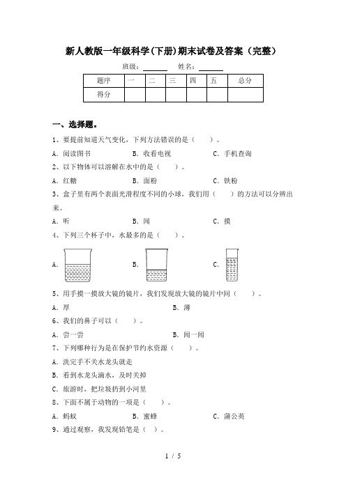 新人教版一年级科学(下册)期末试卷及答案(完整)