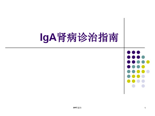 IgA肾病诊治指南  ppt课件