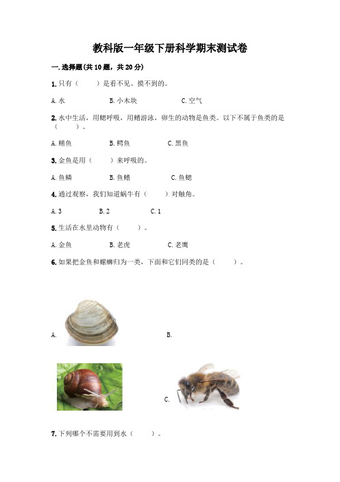 教科版一年级下册科学期末测试卷附参考答案(精练)