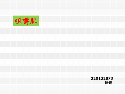 咀嚼肌
