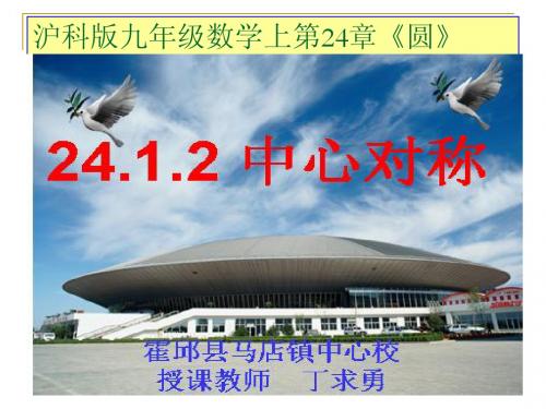 最新沪科版九年级数学下24.1.2旋转(2)--中心对称