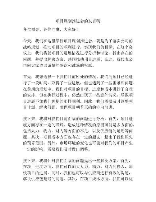 项目谋划推进会的发言稿