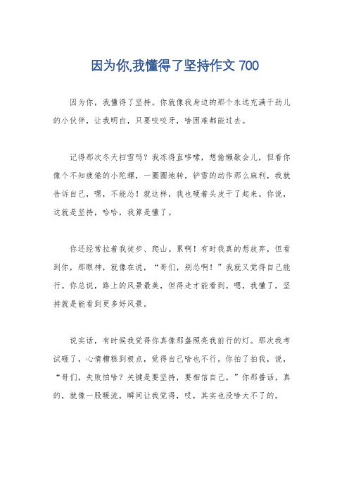 因为你,我懂得了坚持作文700