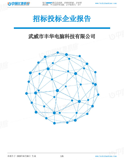 武威市丰华电脑科技有限公司-招投标数据分析报告