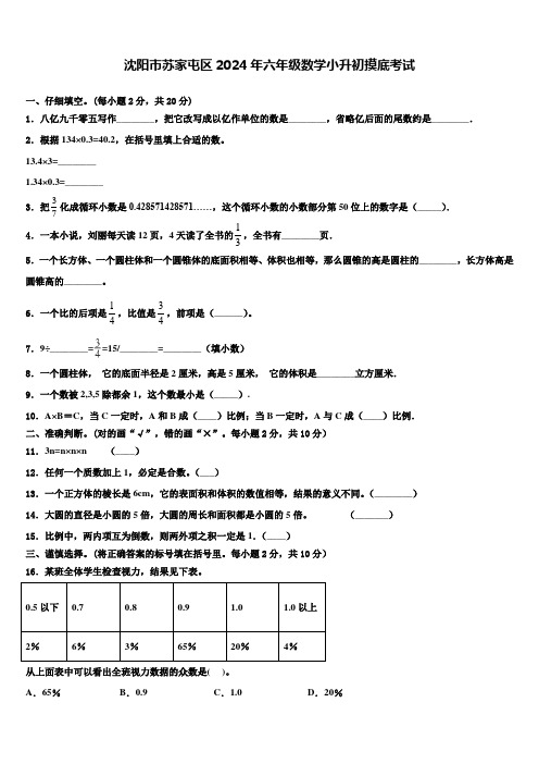 沈阳市苏家屯区2024年六年级数学小升初摸底考试含解析