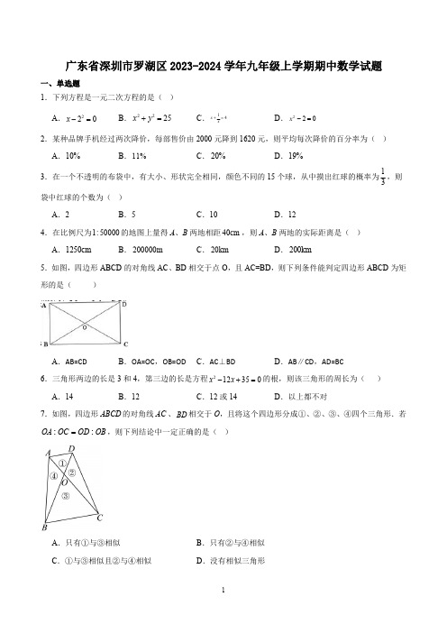 广东省深圳市罗湖区2023-2024学年九年级上学期期中数学试题