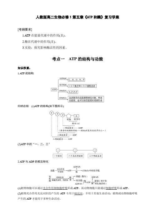 人教版高二生物必修1第五章《ATP和酶》复习学案含答案