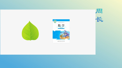 北师大版三年级数学上册第五单元《周长》课件