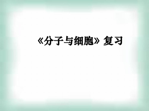 分子与细胞复习ppt