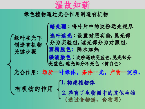 七年级生物上册 3.5.1 光合作用吸收二氧化碳释放氧气 新人教版