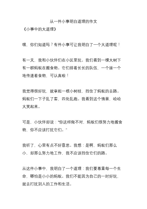 从一件小事明白道理的作文