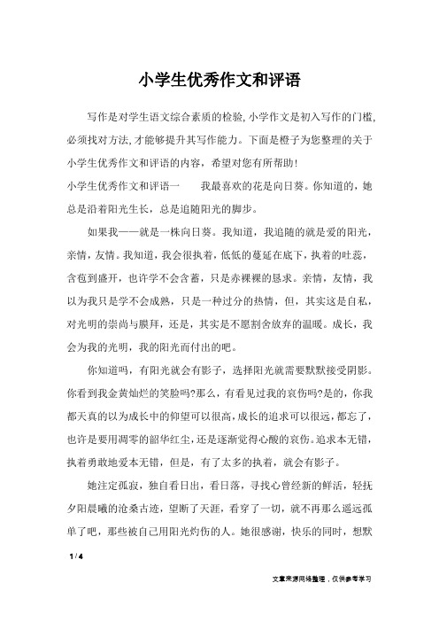 小学生优秀作文和评语_应用文