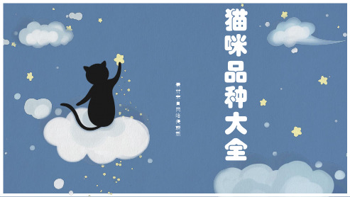 介绍猫的PPT