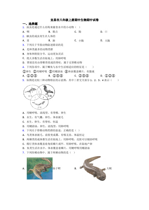 宜昌市八年级上册期中生物期中试卷