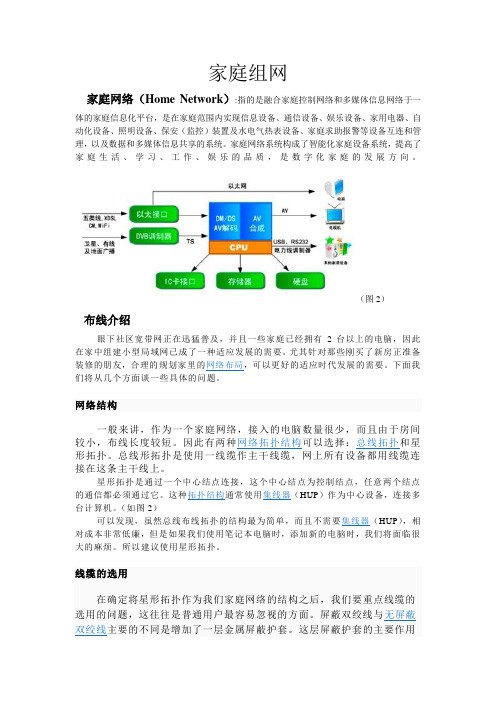 实验报告