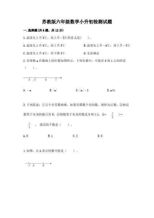 苏教版六年级数学小升初检测试题及1套完整答案