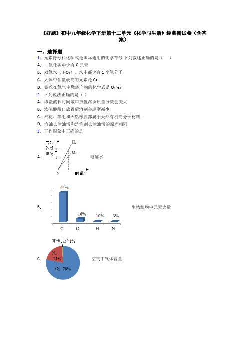 《好题》初中九年级化学下册第十二单元《化学与生活》经典测试卷(含答案)