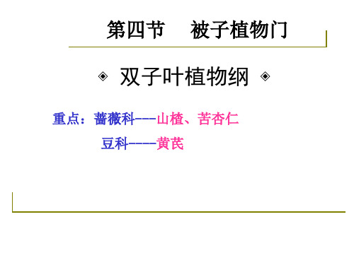 药用植物学与生药学_22蔷薇科、豆科