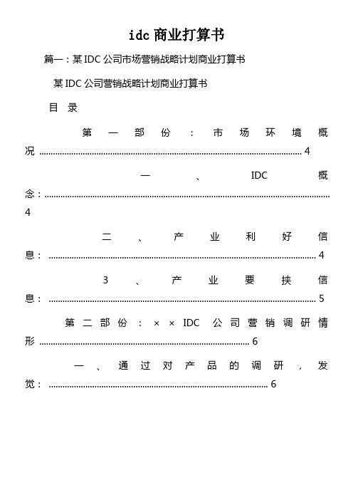 idc商业打算书