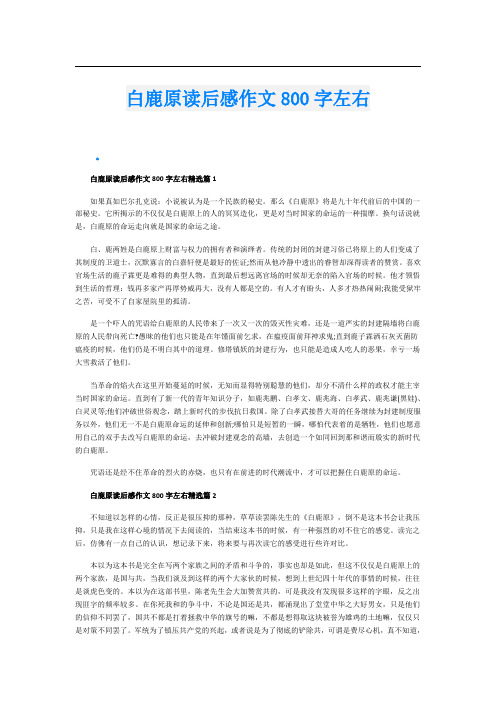 白鹿原读后感作文800字左右