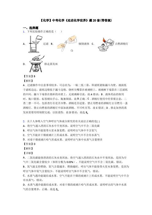 【化学】中考化学《走进化学世界》题20套(带答案)