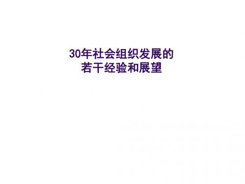 王名：30年社会组织发展的若干经验和展望