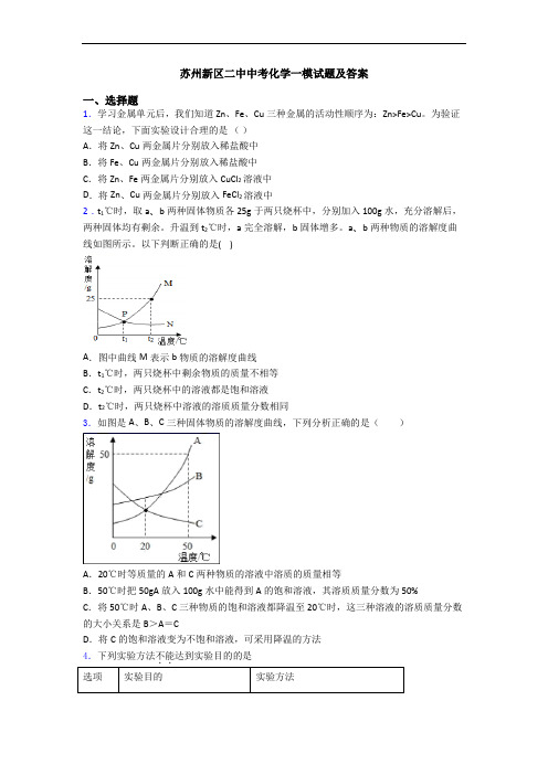 苏州新区二中中考化学一模试题及答案