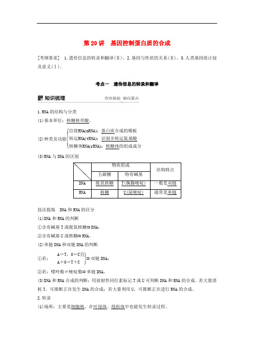 高考生物一轮复习 第六单元 遗传的分子基础 第20讲 基因控制蛋白质的合成备考一体学案 苏教版