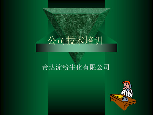 淀粉与变性淀粉1