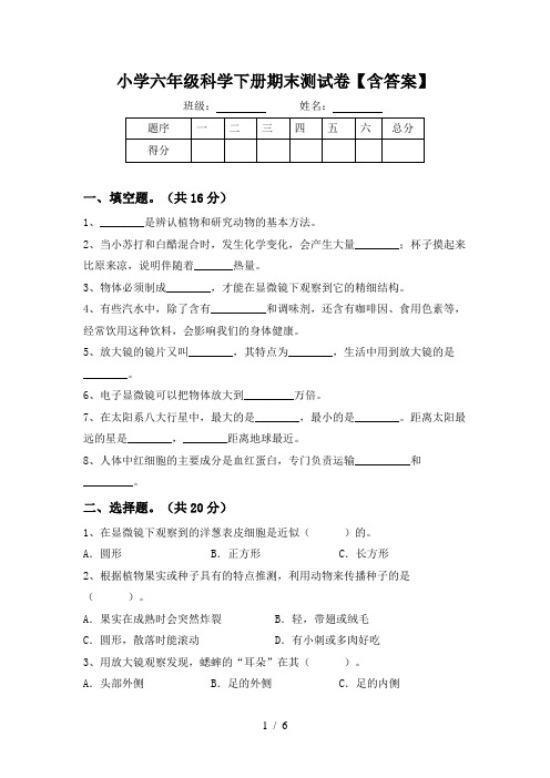 小学六年级科学下册期末测试卷【含答案】