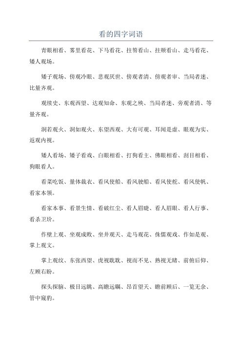 看的四字词语