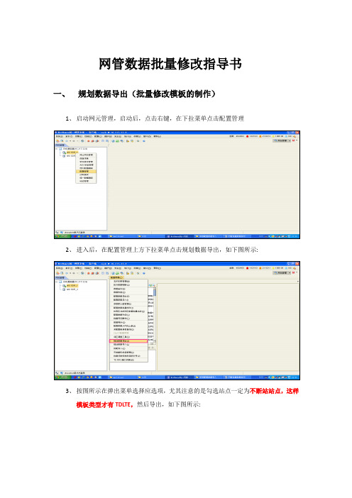 网管批量数据修改指导书