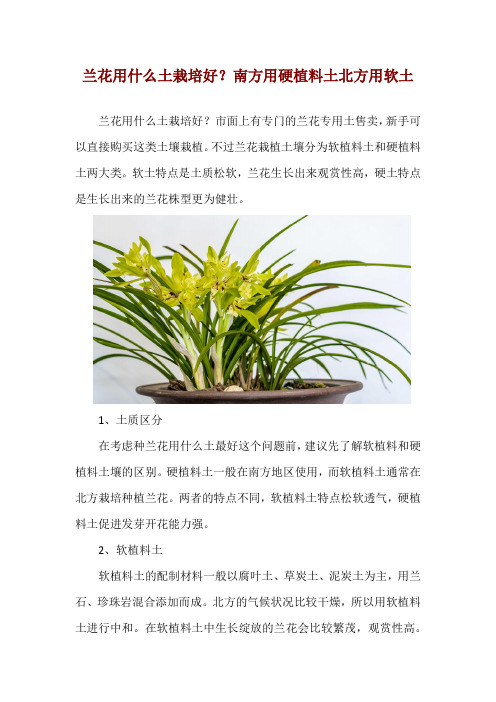 兰花用什么土栽培好？南方用硬植料土北方用软土