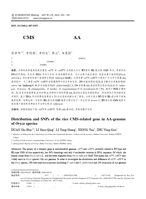 水稻CMS相关基因在稻属AA基因组中的分布及其单核苷酸多态性