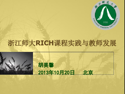 浙江师大RICH课程实践与教师发展