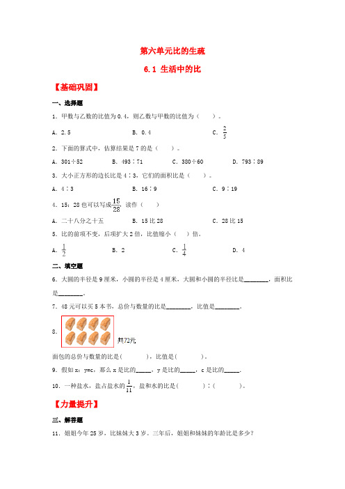 【分层作业】6.1 生活中的比(同步练习) 六年级上册数学同步课时练 (北师大版,含答案)