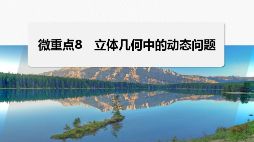 新高考数学二轮复习立体几何中的动态问题