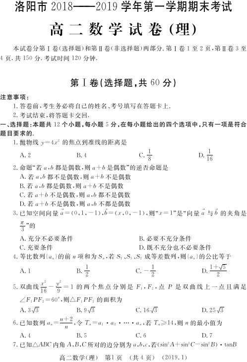 2018-2019学年洛阳市第一学期期末考试高二理科数学试卷及答案