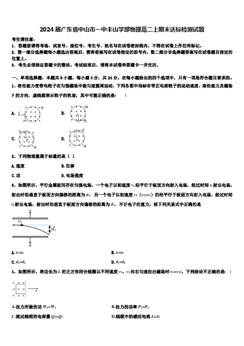 2024届广东省中山市一中丰山学部物理高二上期末达标检测试题含解析