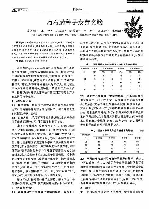 万寿菊种子发芽实验
