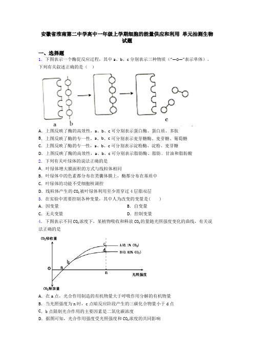 安徽省淮南第二中学高中一年级上学期细胞的能量供应和利用 单元抽测生物试题