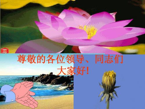 2015爆破教育培训资料