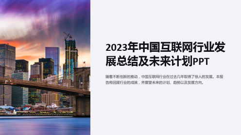 2023年中国互联网行业发展总结及未来计划