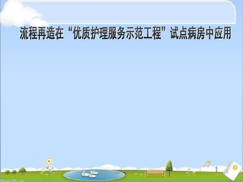 流程再造在“优质护理服务示范工程”试点病房中应用  ppt课件