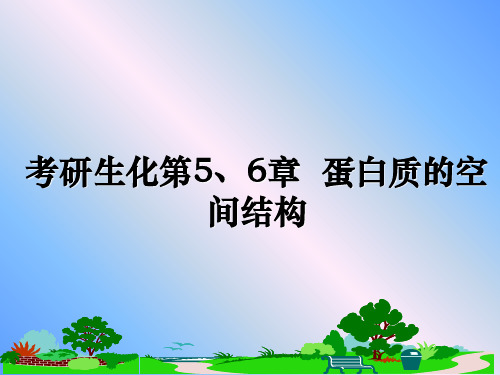 最新考研生化第5、6章  蛋白质的空间结构PPT课件