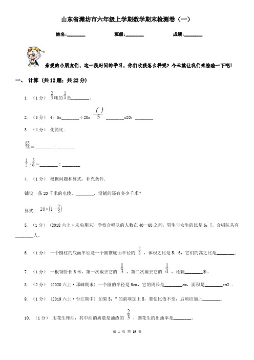 山东省潍坊市六年级上学期数学期末检测卷(一)