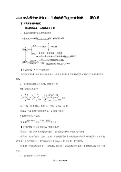 2024年高考生物总复习：生命活动的主要承担者—蛋白质