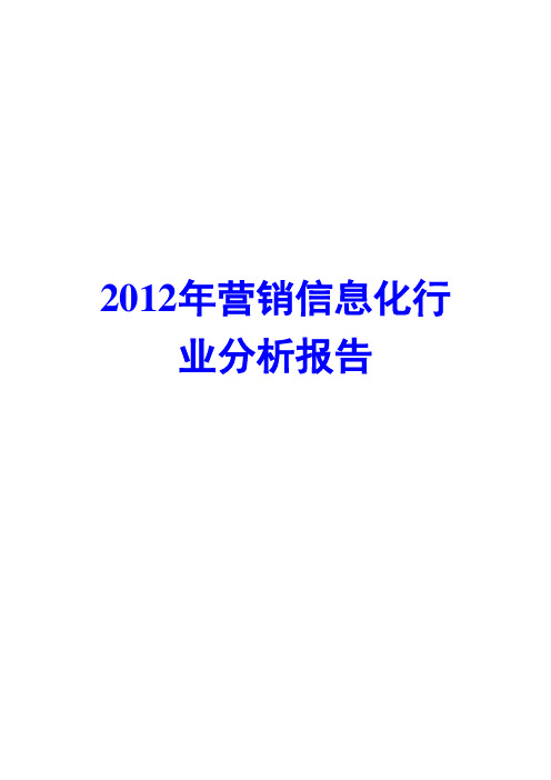 营销信息化行业分析报告2012